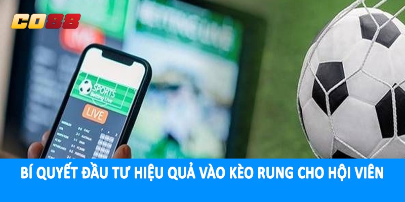 Bí quyết đầu tư hiệu quả vào kèo rung cho hội viên