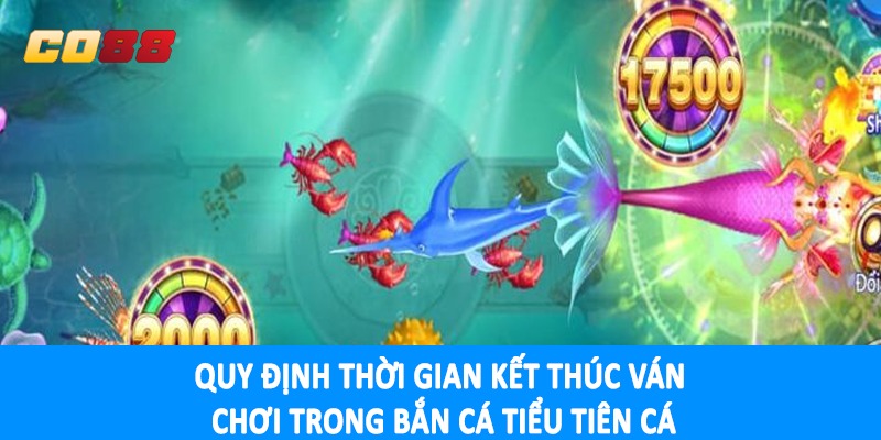 Bí quyết đầu tư hiệu quả vào sản phẩm bắn cá tiểu tiên cá
