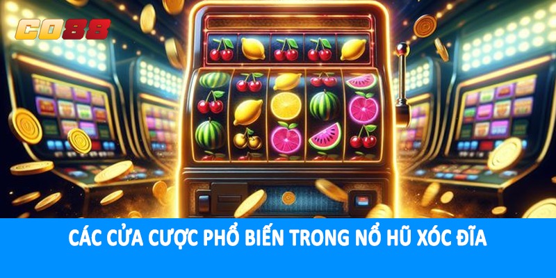 Các cửa cược phổ biến trong nổ hũ xóc đĩa