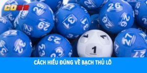 Cách hiểu đúng về bạch thủ lô