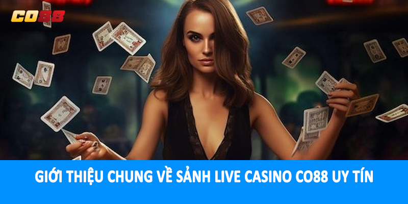 Giới thiệu chung về sảnh live casino CO88 uy tín