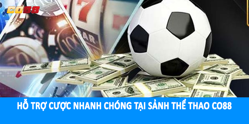 Hỗ trợ cược nhanh chóng tại sảnh thể thao CO88