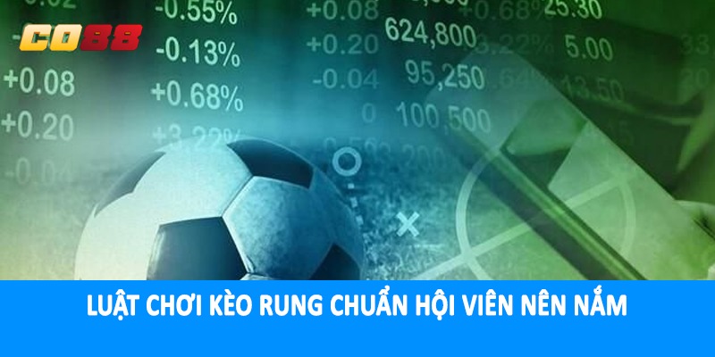 Luật chơi kèo rung chuẩn hội viên nên nắm