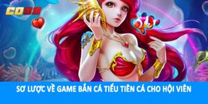Sơ lược về game bắn cá tiểu tiên cá cho hội viên