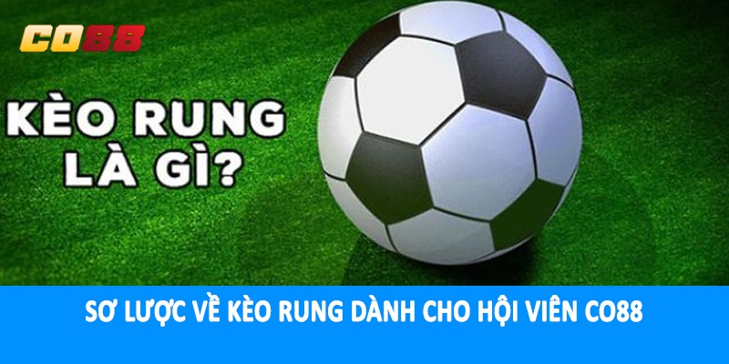 Sơ lược về kèo rung dành cho hội viên CO88