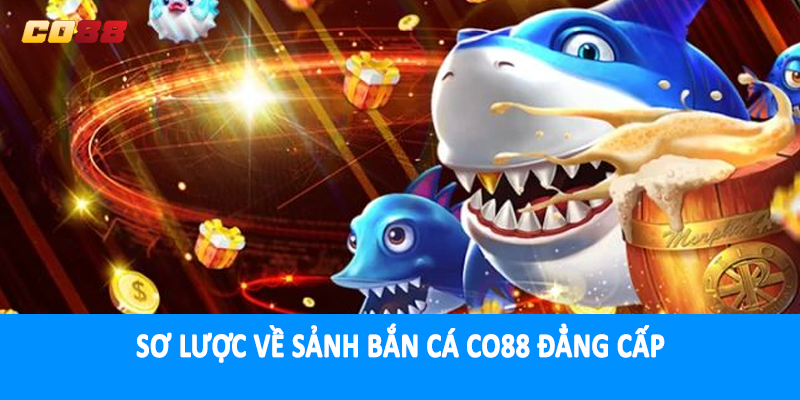 Sơ lược về sảnh bắn cá CO88 đẳng cấp