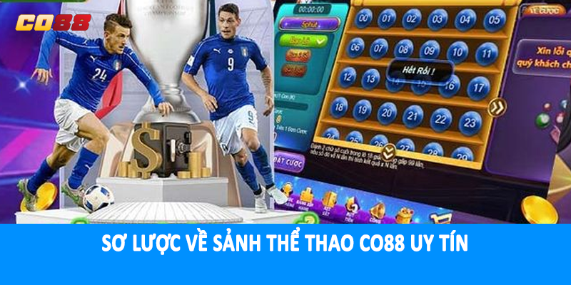 Sơ lược về sảnh thể thao CO88 uy tín