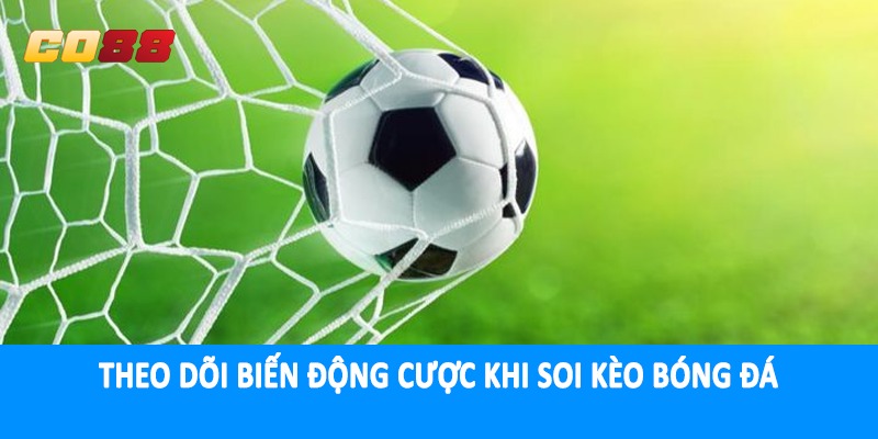 Theo dõi biến động cược khi soi kèo bóng đá
